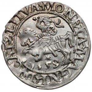 Zygmunt II August, Półgrosz Wilno 1559
