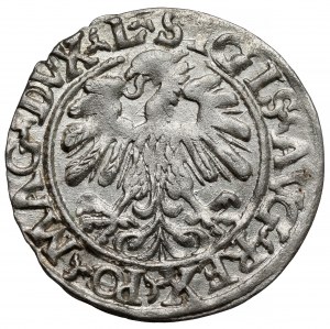 Sigismond II Auguste, demi-penny Vilnius 1559