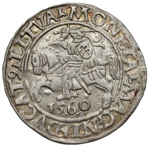 Zygmunt II August, Półgrosz Wilno 1560