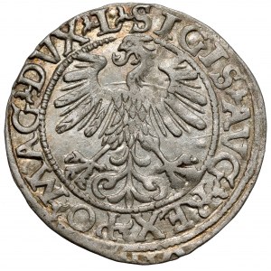 Zygmunt II August, Półgrosz Wilno 1560