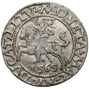Zygmunt II August, Półgrosz Wilno 1565