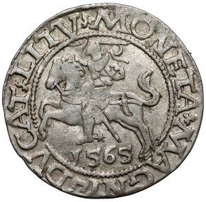 Sigismond II Auguste, demi-penny Vilnius 1565