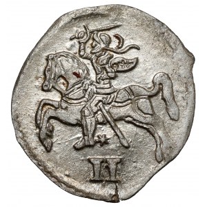 Zygmunt II August, Dwudenar Wilno 1570