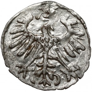 Sigismond II Auguste, Denier de Vilnius 1554