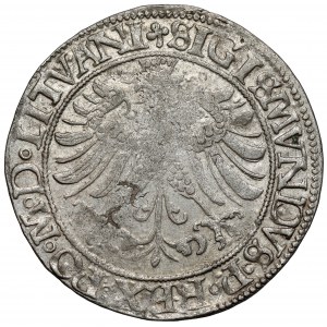 Zygmunt I Stary, Grosz Wilno 1535