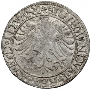Sigismond Ier le Vieux, centime de Vilnius 1535 - premier type