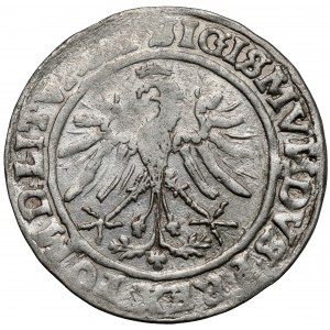 Zygmunt I Stary, Grosz Wilno 1535