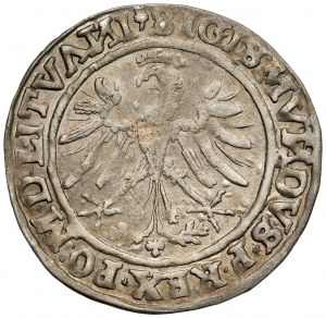 Sigismond Ier le Vieux, centime de Vilnius 1535 - très beau