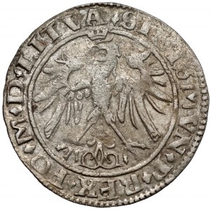 Zygmunt I Stary, Grosz Wilno 1536
