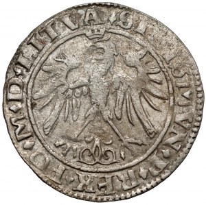 Sigismond Ier le Vieux, centime de Vilnius 1536 - SANS lettre - Janvier