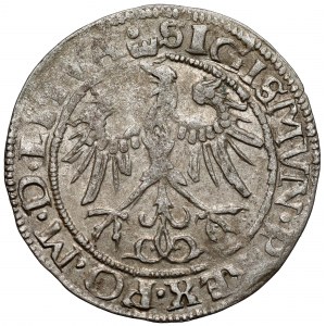 Zygmunt I Stary, Grosz Wilno 1536 - litera I