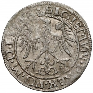 Sigismond Ier le Vieux, centime de Vilnius 1536 - lettre I - janvier