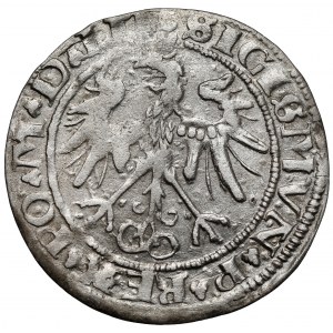 Zygmunt I Stary, Grosz Wilno 1536 - litera I