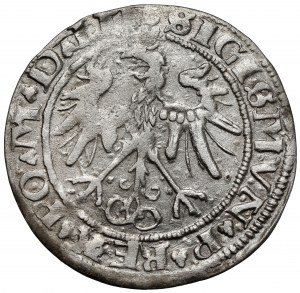 Sigismond Ier le Vieux, centime de Vilnius 1536 - lettre I - janvier
