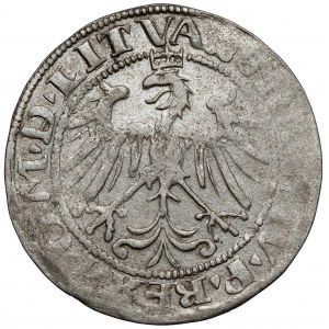 Zygmunt I Stary, Grosz Wilno 1536 - litera F