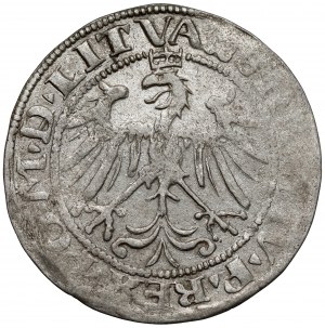 Sigismond Ier le Vieux, centime de Vilnius 1536 - lettre F - février