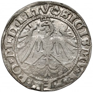 Zygmunt I Stary, Grosz Wilno 1536 - litera M