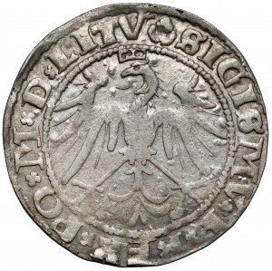 Sigismond Ier le Vieux, centime de Vilnius 1536 - lettre M - OWALNA