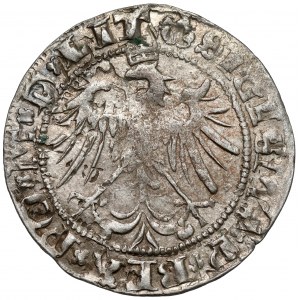 Zygmunt I Stary, Grosz Wilno 1536 - litera M