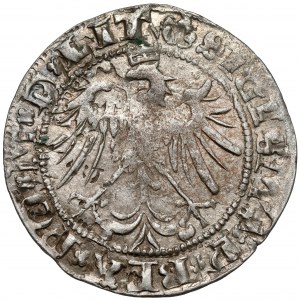 Sigismond Ier le Vieux, centime de Vilnius 1536 - lettre M - mars