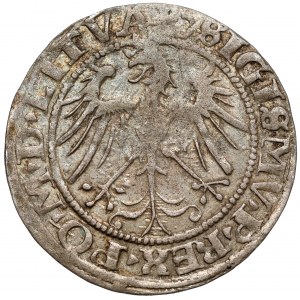 Zygmunt I Stary, Grosz Wilno 1536 - litera M