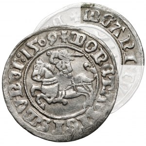 Zygmunt I Stary, Półgrosz Wilno 1509 - błąd MGANI