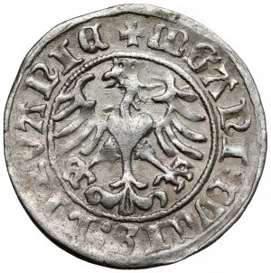 Sigismond Ier l'Ancien, demi-penny de Vilnius 1509 - Erreur de MGANI