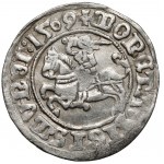 Zygmunt I Stary, Półgrosz Wilno 1509 - błąd MGANI