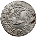 Zygmunt I Stary, Półgrosz Wilno 1509 - 1:509