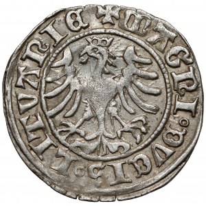 Zygmunt I Stary, Półgrosz Wilno 1509 - odwrócone 'D'