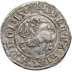 Zygmunt I Stary, Półgrosz Wilno 1509 - odwrócone 'D'