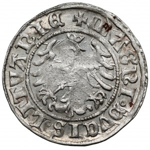 Zygmunt I Stary, Półgrosz Wilno 1509