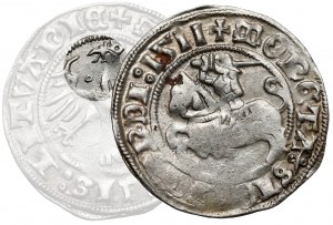 Sigismond Ier le Vieux, demi-penny Vilnius 1511 - anneau de l'Aigle