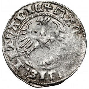 Zygmunt I Stary, Półgrosz Wilno 1511