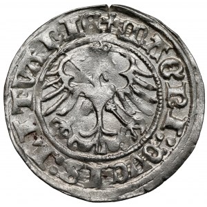Zygmunt I Stary, Półgrosz Wilno 1511