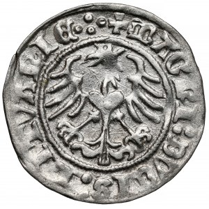 Zygmunt I Stary, Półgrosz Wilno 1512