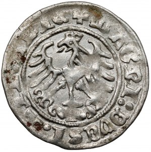 Sigismund I the Old, Half-penny Vilnius 1513 - DVCSI error