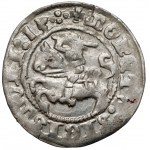 Zygmunt I Stary, Półgrosz Wilno 1513 - błąd SIGISMVNI