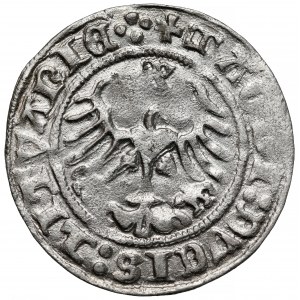 Zygmunt I Stary, Półgrosz Wilno 1513 - kółko nad koniem