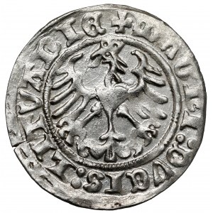 Zygmunt I Stary, Półgrosz Wilno 1513