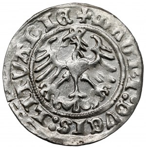 Sigismond Ier le Vieux, Półgrosz Wilno 1513 - -:- après la date