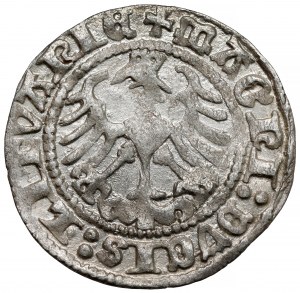Zygmunt I Stary, Półgrosz Wilno 1513