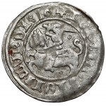 Zygmunt I Stary, Półgrosz Wilno 1516