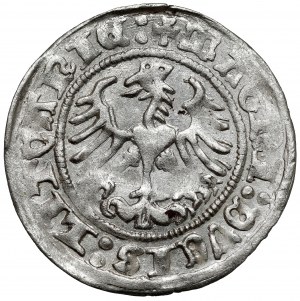 Sigismond Ier le Vieux, Vilnius 1516 demi-penny - variété rare
