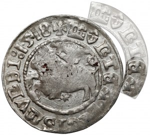 Sigismund I the Old, Vilnius 1518 half-penny - MONTEA error - rare Pogo