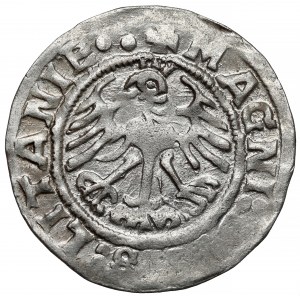 Zygmunt I Stary, Półgrosz Wilno 1519 - błąd LITANIE