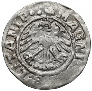 Sigismund I the Old, Half-penny Vilnius 1519 - LITANIA error