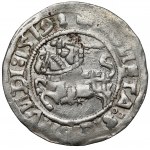 Zygmunt I Stary, Półgrosz Wilno 1519 - błąd LITANIE
