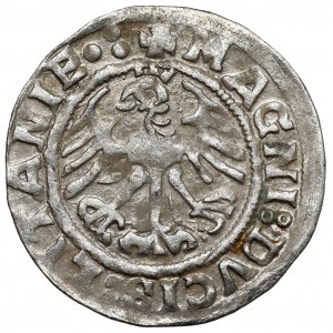 Zygmunt I Stary, Półgrosz Wilno 1519 - błąd LITANIE