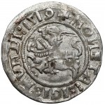 Zygmunt I Stary, Półgrosz Wilno 1519 - błąd LITANIE